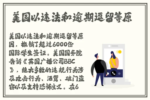 年轻的母亲2有线